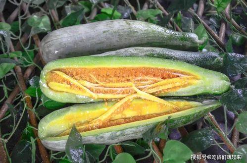 网红吃瓜黄钰杰,揭秘吃瓜界的风云人物